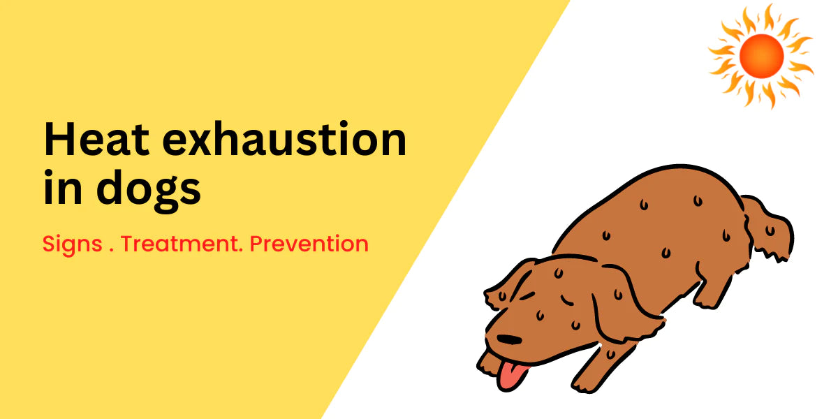 Heat Exhaustion in Dogs