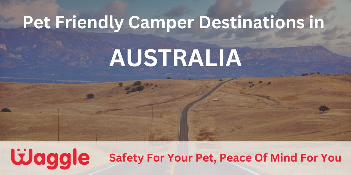 Pet Friendly Camper Destinations in Australia