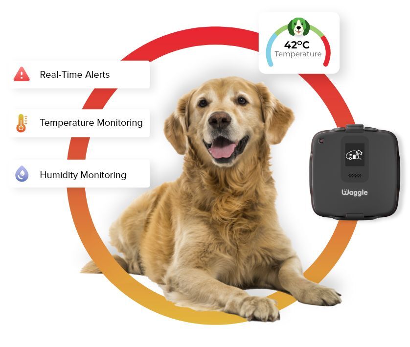 HOW-WAGGLE-KEEPS-YOUR-PETS-SAFE